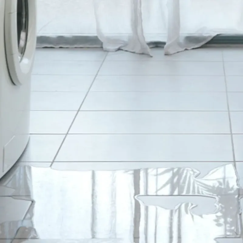 Appliance Leak Cleanup in Appleton, WI
