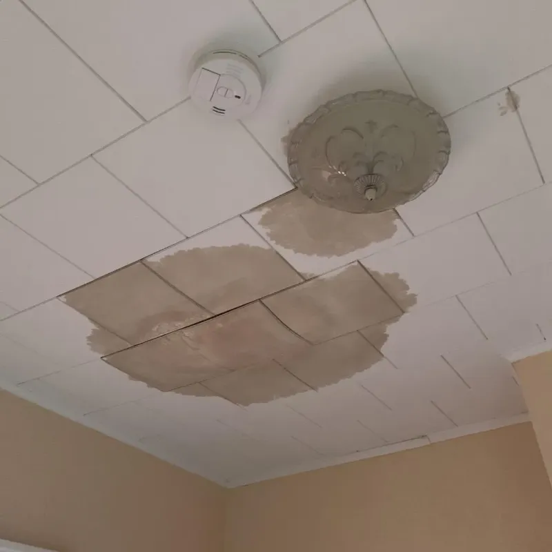 Ceiling Water Damage Repair in Appleton, WI