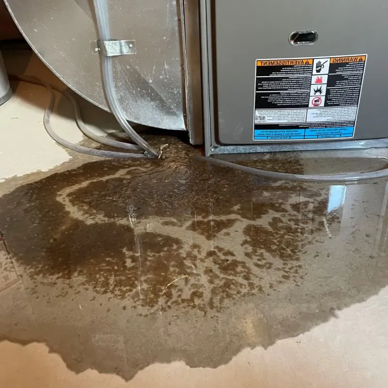 Pipe Burst and Leak Restoration in Appleton, WI